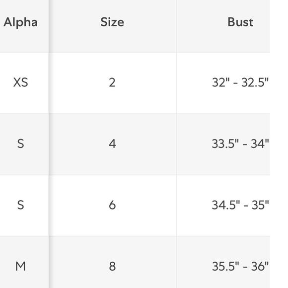 BCBGMAXAZRIA Broomstick Satin Pleated Smocked Halter Maxi Dress XS NEW - Picture 6 of 8